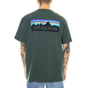  39178-ARGR  PATAGONIA 