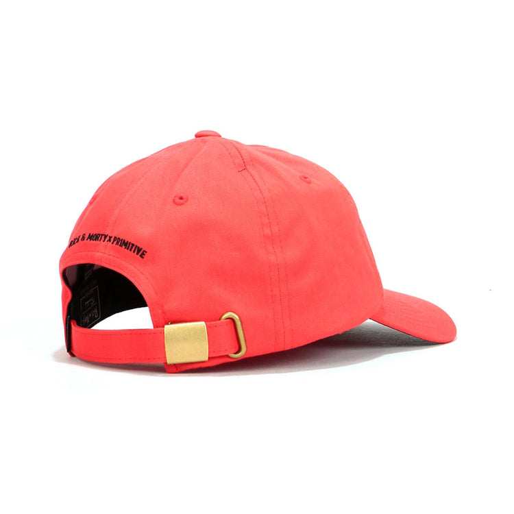  PRACP10029-421 . PRIMITIVE 