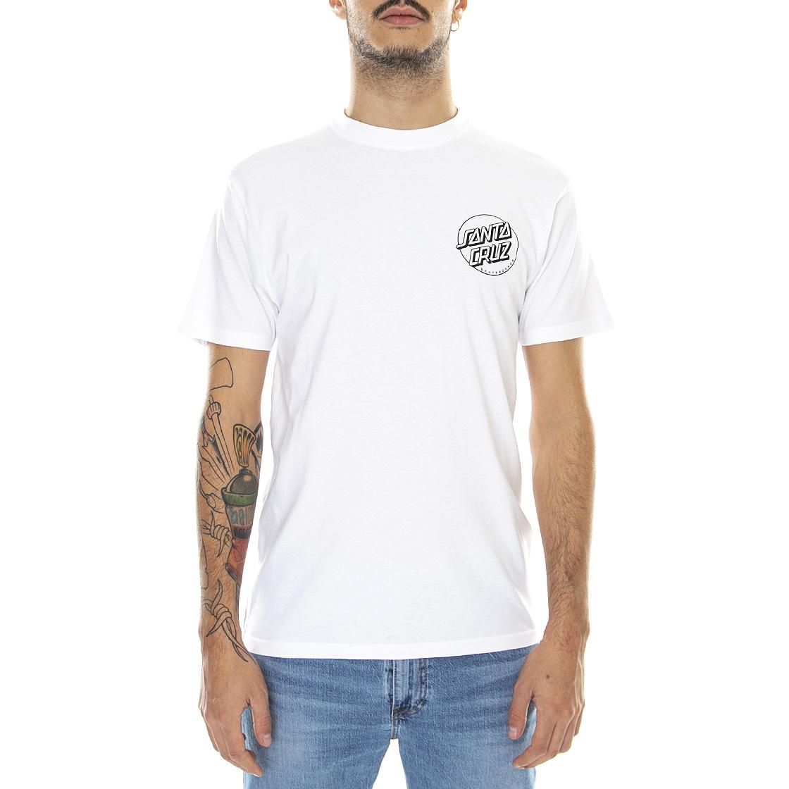  ACET-WHT  SANTA CRUZ 