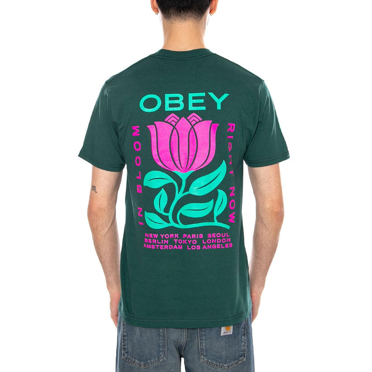 OBEY IN BLOOM TEE RAINFOREST - Maglietta Girocollo Uomo Verde 165264329 RFR OBEY 