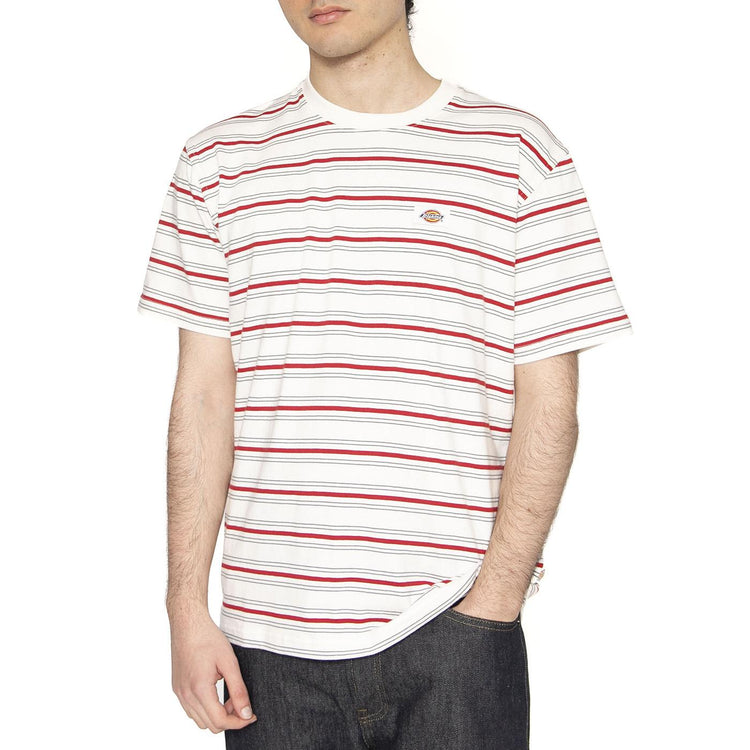 Lewistown Stripe SS Tee Egret - Maglietta Girocollo Uomo Multicolore DK0A4Z8SC481  DICKIES 