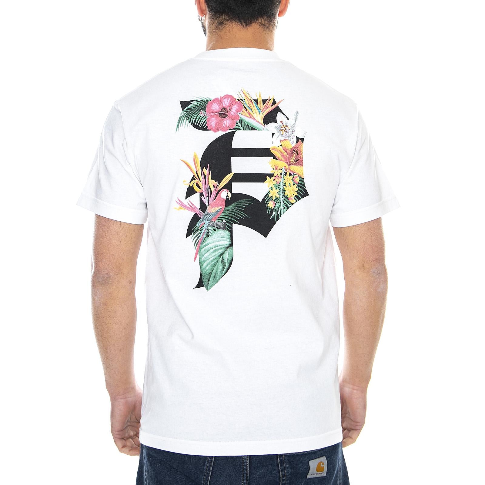  PRASS10642  PRIMITIVE 