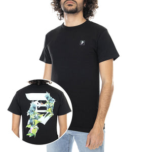  PRASS2106-02  PRIMITIVE 