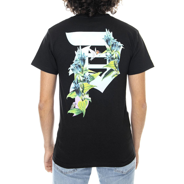  PRASS2106-02  PRIMITIVE 