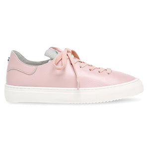 Dorey-Sm Pink - Scarpe Stringate Profilo Basso Donna Rosa SMPDOREY-SM-PIN  STEVE MADDEN 