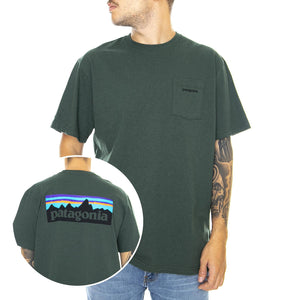  39178-ARGR  PATAGONIA 