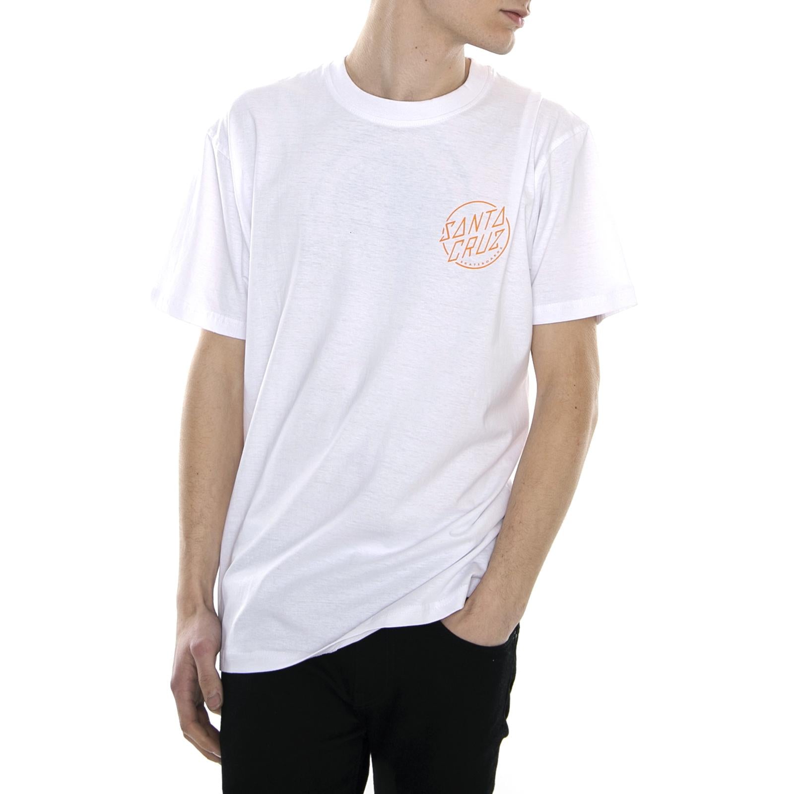  SCA-TEE-2910  SANTA CRUZ 