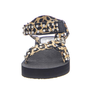  SMSHENLEYR-LEO  STEVE MADDEN 