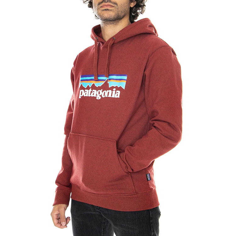  39539-BARR  PATAGONIA 